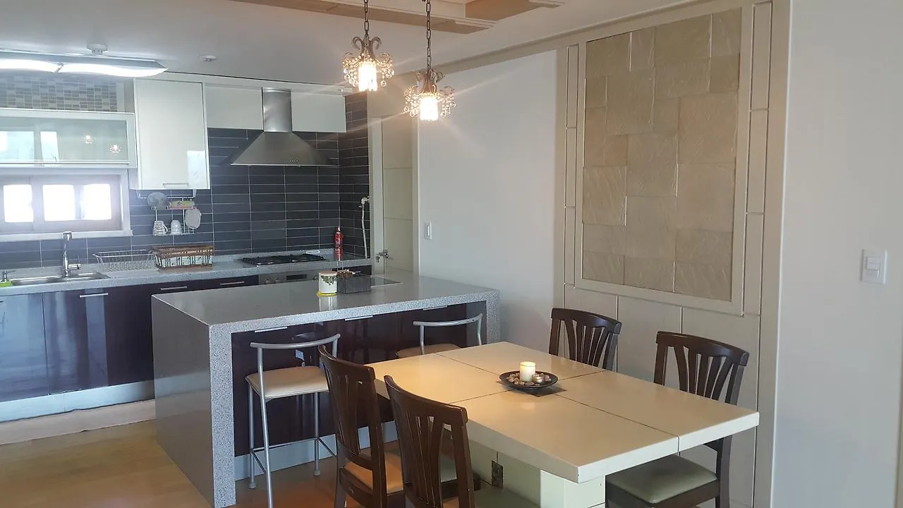 Syun'S Nest 'River View & City View' Hotel Seúl 0*,